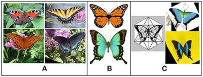 Cross Modal Few-Shot Contextual Transfer for Heterogenous Image Classification